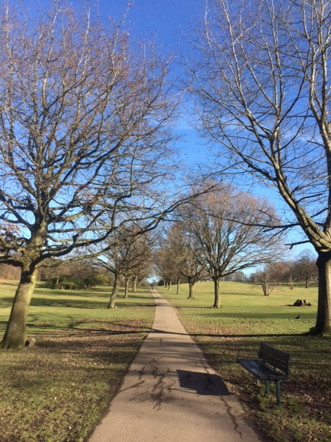 Fwd: Graves Park			
					</div><!-- .entry-content -->
		
		<footer>
		
		
		
					
					</footer><!-- .entry-meta -->
	</article><!-- #post -->
				
											
				
		
<hr class=