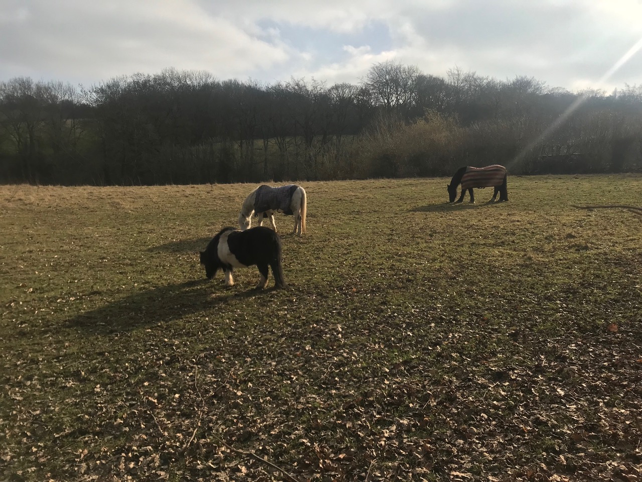 Fwd: Troway			
					</div><!-- .entry-content -->
		
		<footer>
		
		
		
					
					</footer><!-- .entry-meta -->
	</article><!-- #post -->
				
											
				
		
<hr class=