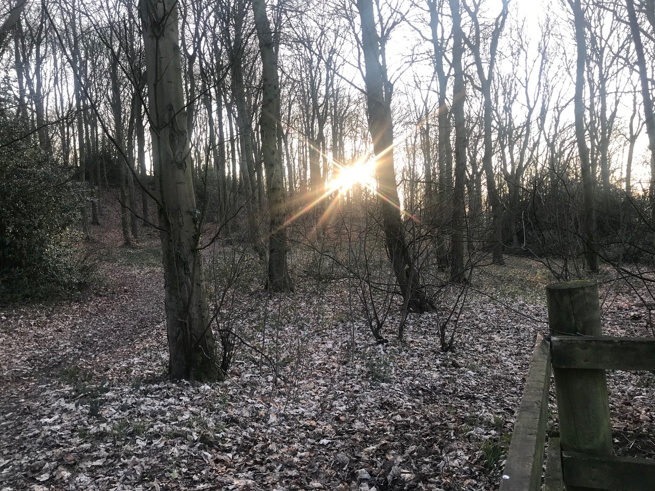 Fwd: Moss Valley			
					</div><!-- .entry-content -->
		
		<footer>
		
		
		
					
					</footer><!-- .entry-meta -->
	</article><!-- #post -->
				
											
				
		
<hr class=