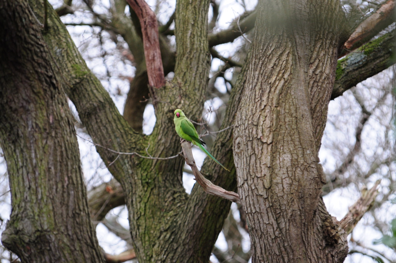 Fwd: Local photographs for you			
					</div><!-- .entry-content -->
		
		<footer>
		
		
		
					
					</footer><!-- .entry-meta -->
	</article><!-- #post -->
				
											
				
		
<hr class=