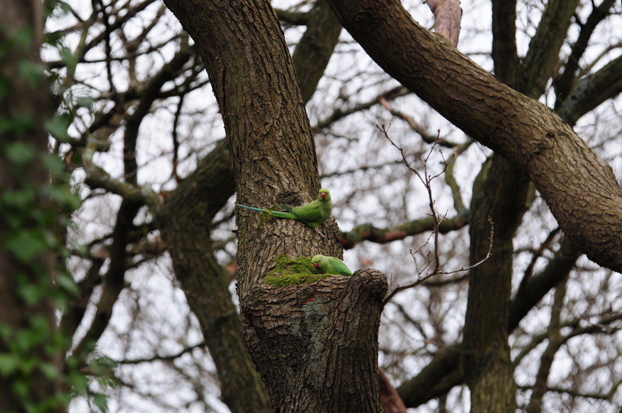 Fwd: Local photographs for you			
					</div><!-- .entry-content -->
		
		<footer>
		
		
		
					
					</footer><!-- .entry-meta -->
	</article><!-- #post -->
				
											
				
		
<hr class=