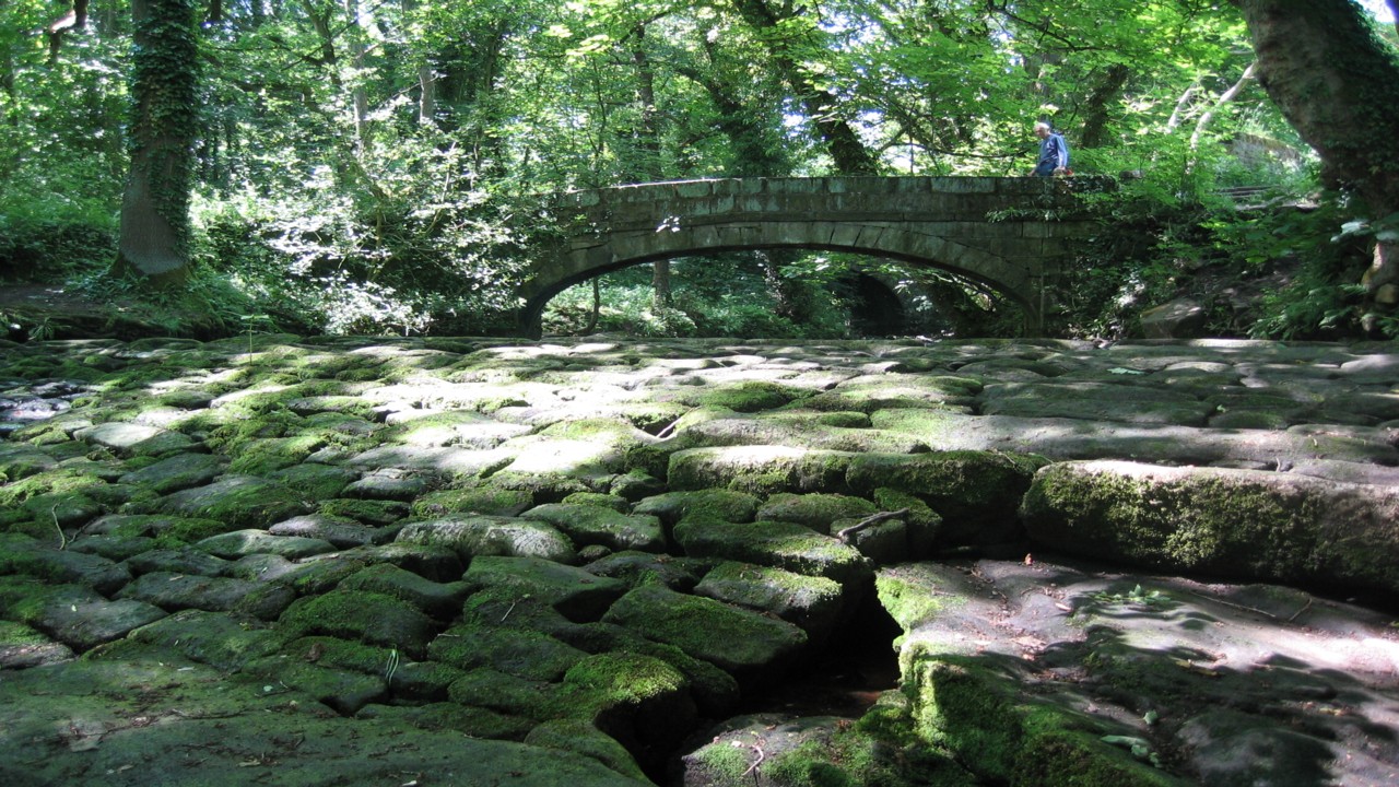 Fwd: David Maycock, Rivelin			
					</div><!-- .entry-content -->
		
		<footer>
		
		
		
					
					</footer><!-- .entry-meta -->
	</article><!-- #post -->
				
											
				
		
<hr class=