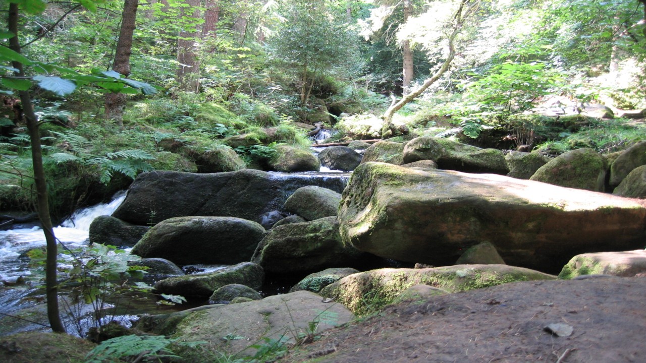 Fwd: photos			
					</div><!-- .entry-content -->
		
		<footer>
		
		
		
					
					</footer><!-- .entry-meta -->
	</article><!-- #post -->
				
											
				
		
<hr class=