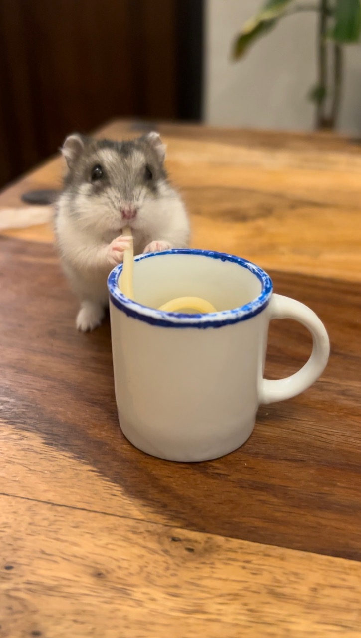 Fwd: Vlod			
					</div><!-- .entry-content -->
		
		<footer>
		
		
		
					
					</footer><!-- .entry-meta -->
	</article><!-- #post -->
				
											
				
		
<hr class=