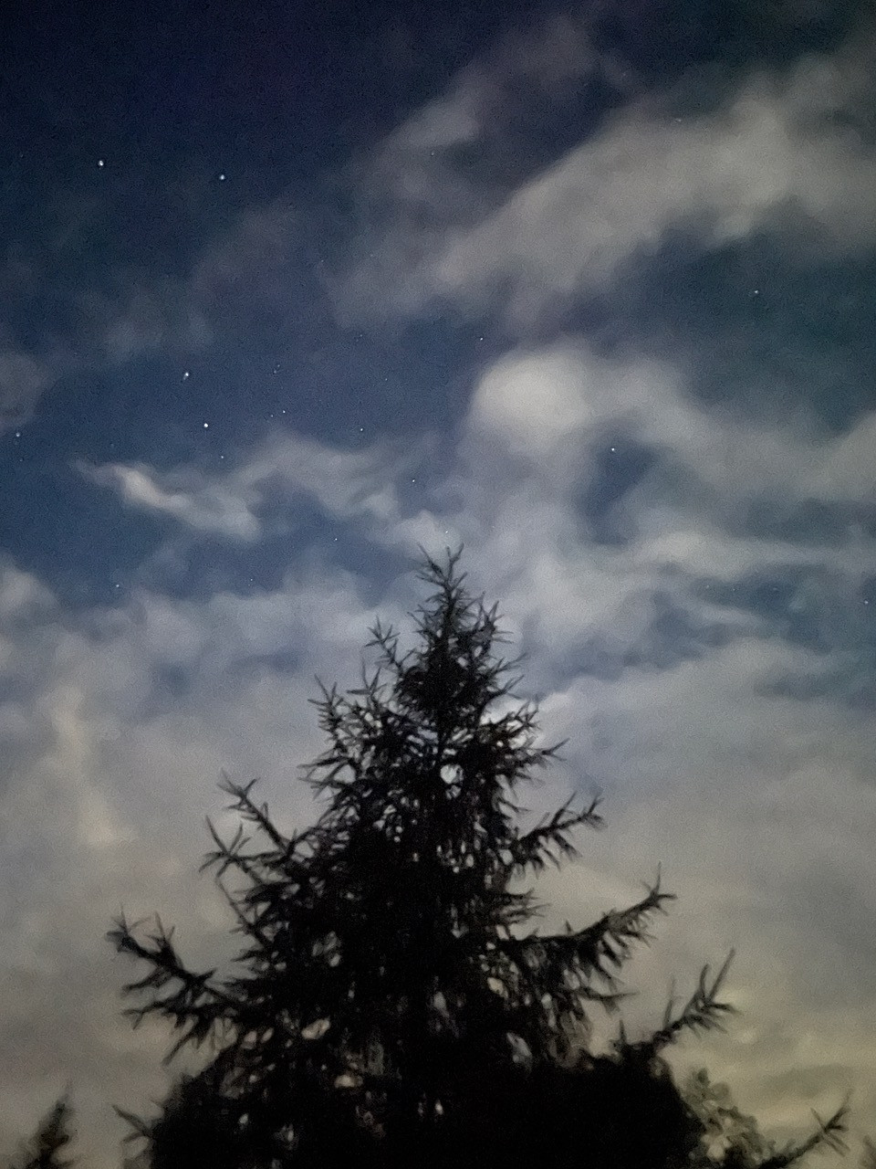 Fwd: Photo			
					</div><!-- .entry-content -->
		
		<footer>
		
		
		
					
					</footer><!-- .entry-meta -->
	</article><!-- #post -->
				
											
				
		
<hr class=