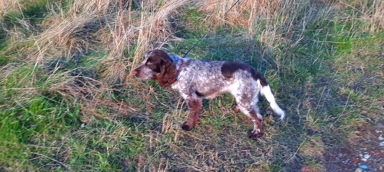 Fwd:			
					</div><!-- .entry-content -->
		
		<footer>
		
		
		
					
					</footer><!-- .entry-meta -->
	</article><!-- #post -->
				
											
				
		
<hr class=