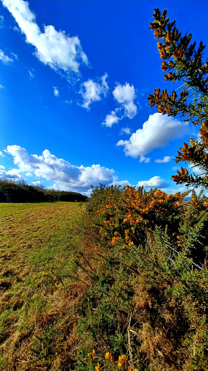 Fwd: By M.Winter- 70 Acre Hill			
					</div><!-- .entry-content -->
		
		<footer>
		
		
		
					
					</footer><!-- .entry-meta -->
	</article><!-- #post -->
				
											
				
		
<hr class=