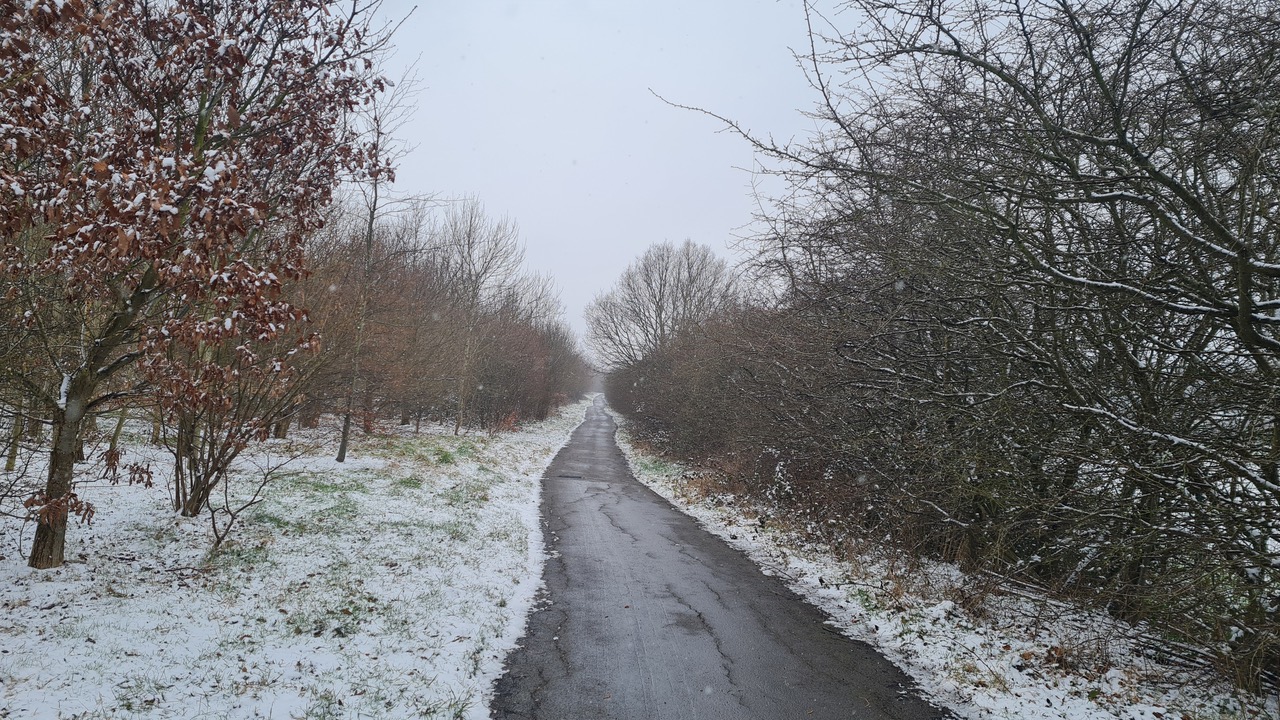 Fwd: Greg Howarth TPT Handsworth			
					</div><!-- .entry-content -->
		
		<footer>
		
		
		
					
					</footer><!-- .entry-meta -->
	</article><!-- #post -->
				
											
				
		
<hr class=