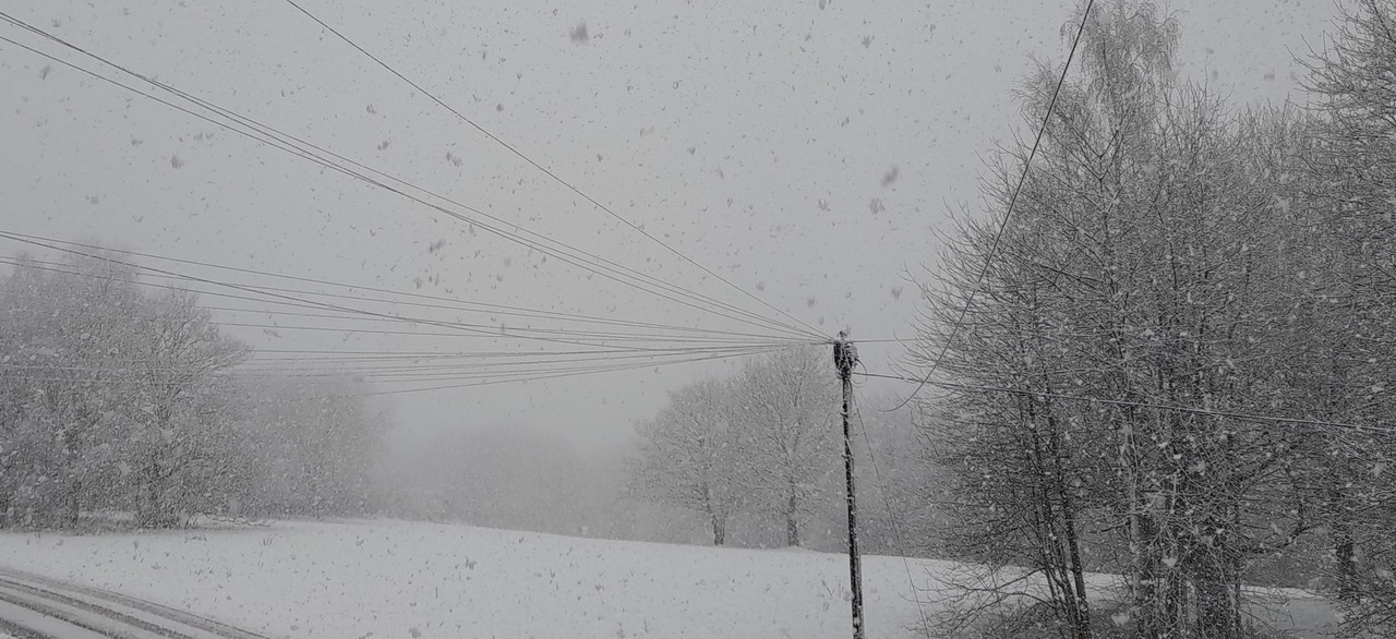 Fwd: Gail Ellis, snowy Frecheville			
					</div><!-- .entry-content -->
		
		<footer>
		
		
		
					
					</footer><!-- .entry-meta -->
	</article><!-- #post -->
				
											
				
		
<hr class=