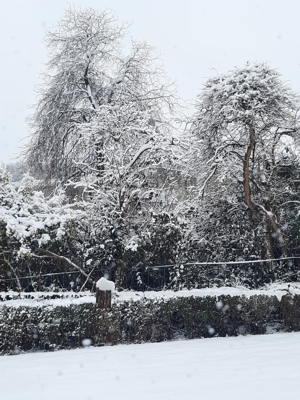 Fwd: Lonely clothes line Ecclesfield by Kevin lees			
					</div><!-- .entry-content -->
		
		<footer>
		
		
		
					
					</footer><!-- .entry-meta -->
	</article><!-- #post -->
				
											
				
		
<hr class=