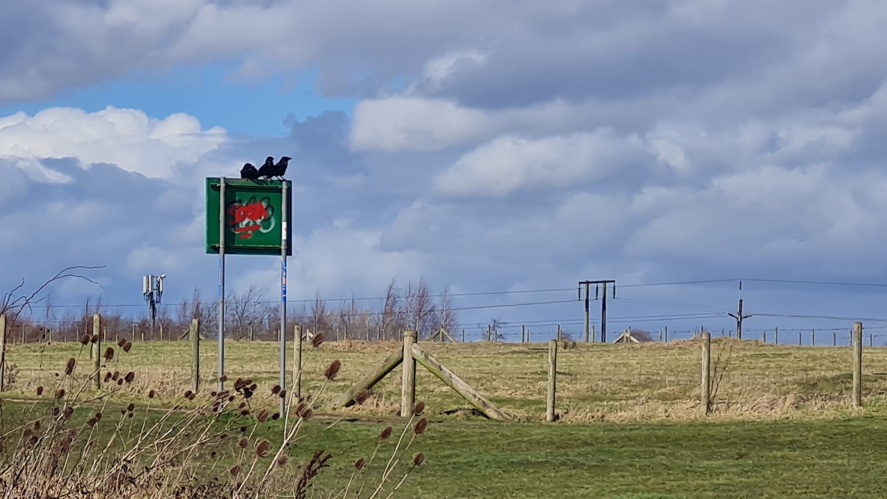 Fwd: Greg Howarth Linley Bank Meadows			
					</div><!-- .entry-content -->
		
		<footer>
		
		
		
					
					</footer><!-- .entry-meta -->
	</article><!-- #post -->
				
											
				
		
<hr class=