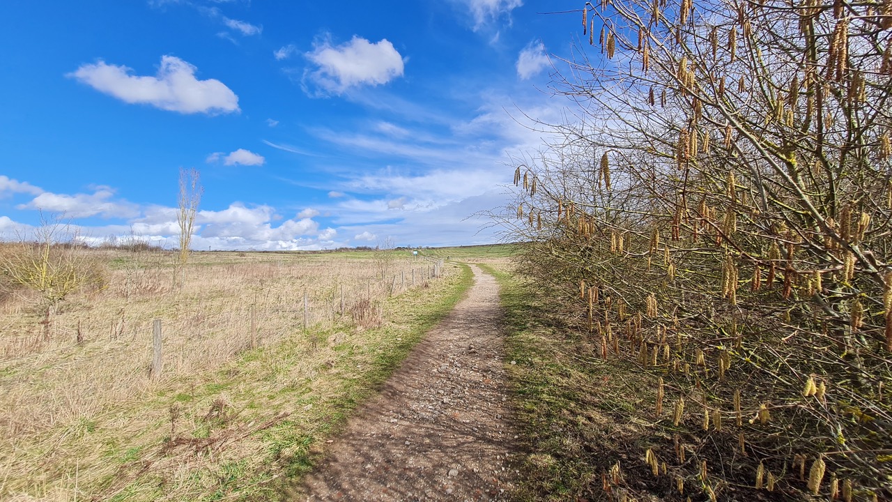 Fwd: Greg Howarth Linley Bank Meadows S12			
					</div><!-- .entry-content -->
		
		<footer>
		
		
		
					
					</footer><!-- .entry-meta -->
	</article><!-- #post -->
				
											
				
		
<hr class=