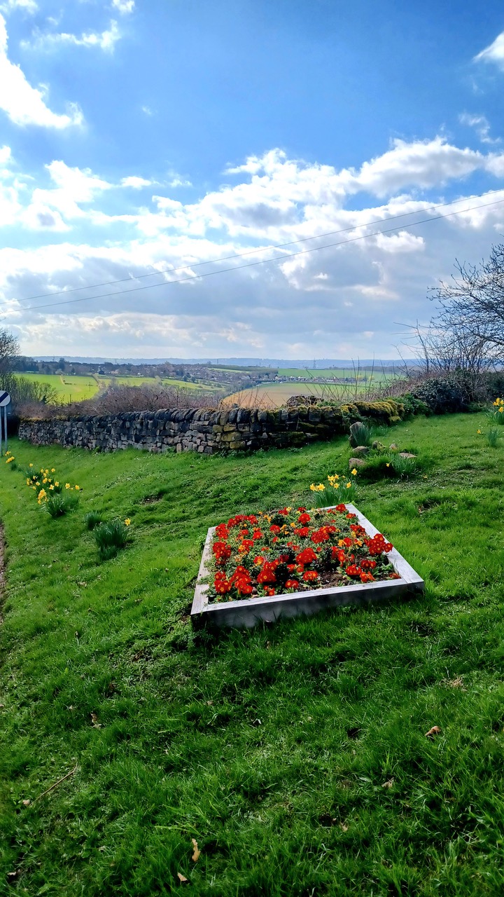 Fwd: By M.Winter- Ulley with Aughton in distance.			
					</div><!-- .entry-content -->
		
		<footer>
		
		
		
					
					</footer><!-- .entry-meta -->
	</article><!-- #post -->
				
											
				
		
<hr class=