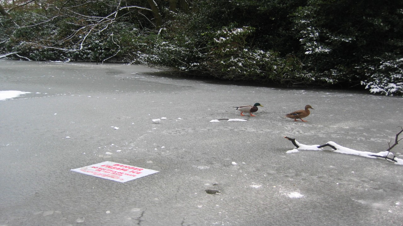 Fwd: David Maycock, Endcliffe Park			
					</div><!-- .entry-content -->
		
		<footer>
		
		
		
					
					</footer><!-- .entry-meta -->
	</article><!-- #post -->
				
											
				
		
<hr class=