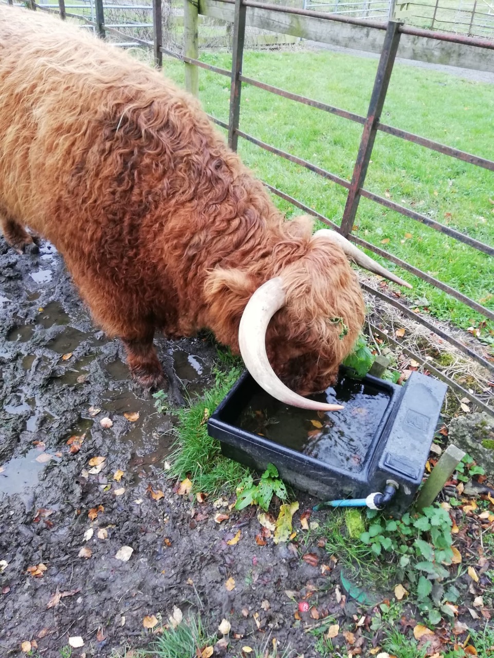 Fwd: Hamish			
					</div><!-- .entry-content -->
		
		<footer>
		
		
		
					
					</footer><!-- .entry-meta -->
	</article><!-- #post -->
				
											
				
		
<hr class=