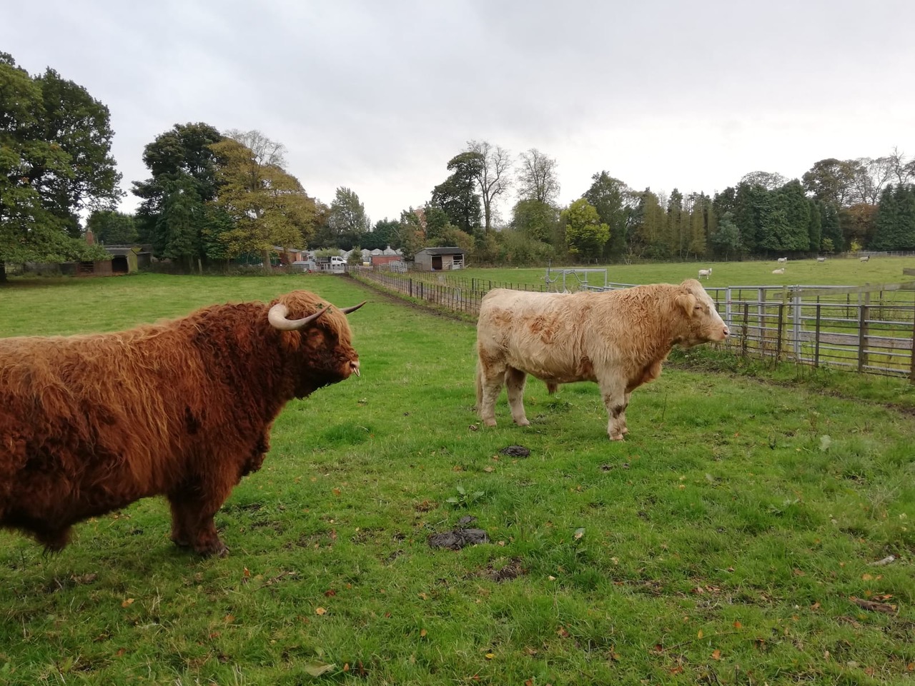 Fwd: ‘Hamish’			
					</div><!-- .entry-content -->
		
		<footer>
		
		
		
					
					</footer><!-- .entry-meta -->
	</article><!-- #post -->
				
											
				
		
<hr class=