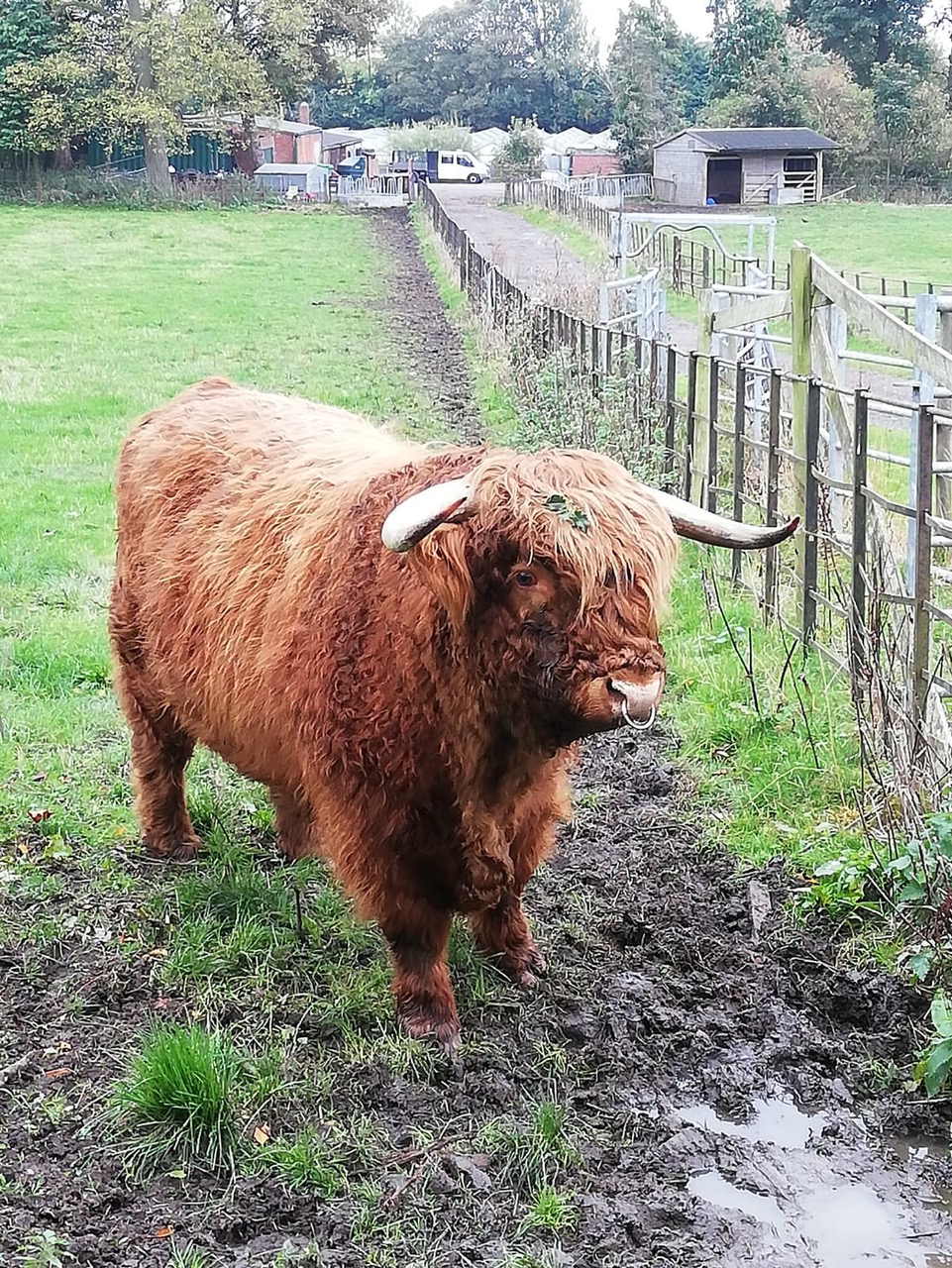 Fwd: Hamish			
					</div><!-- .entry-content -->
		
		<footer>
		
		
		
					
					</footer><!-- .entry-meta -->
	</article><!-- #post -->
				
											
				
		
<hr class=