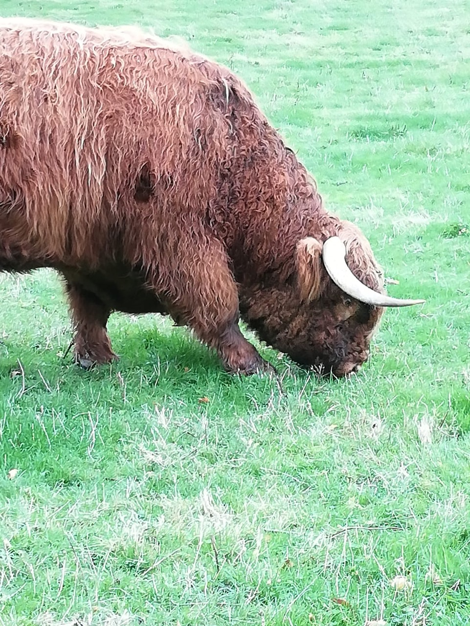 Fwd: Hamish			
					</div><!-- .entry-content -->
		
		<footer>
		
		
		
					
					</footer><!-- .entry-meta -->
	</article><!-- #post -->
				
											
				
		
<hr class=