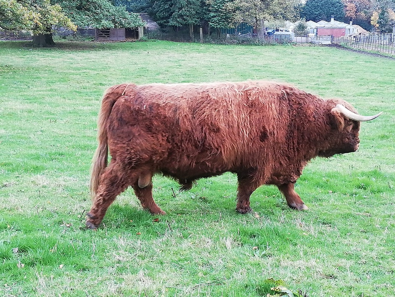 Fwd: Hamish			
					</div><!-- .entry-content -->
		
		<footer>
		
		
		
					
					</footer><!-- .entry-meta -->
	</article><!-- #post -->
				
											
				
		
<hr class=