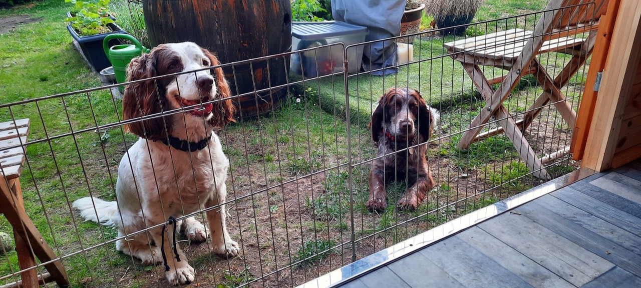 Fwd:			
					</div><!-- .entry-content -->
		
		<footer>
		
		
		
					
					</footer><!-- .entry-meta -->
	</article><!-- #post -->
				
											
				
		
<hr class=