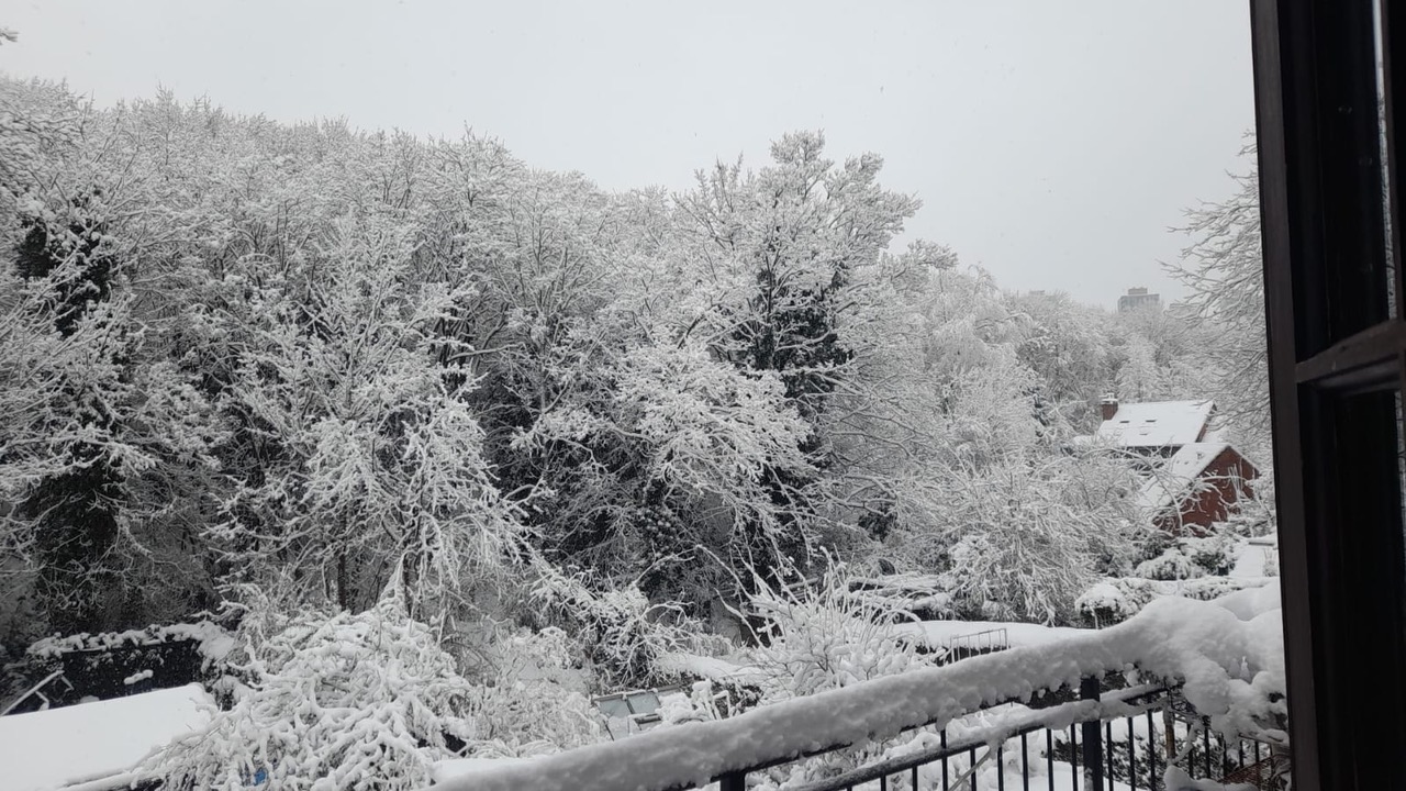 Fwd: Snow Day 2 landscape			
					</div><!-- .entry-content -->
		
		<footer>
		
		
		
					
					</footer><!-- .entry-meta -->
	</article><!-- #post -->
				
											
				
		
<hr class=