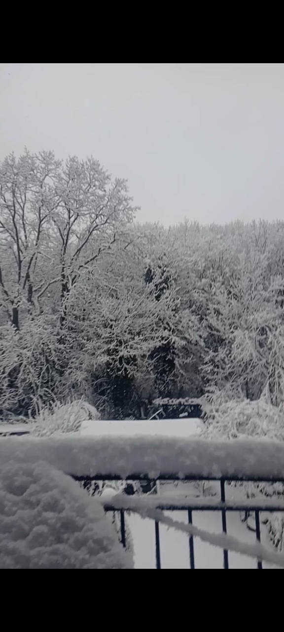 Fwd: Snow photo			
					</div><!-- .entry-content -->
		
		<footer>
		
		
		
					
					</footer><!-- .entry-meta -->
	</article><!-- #post -->
				
											
				
		
<hr class=