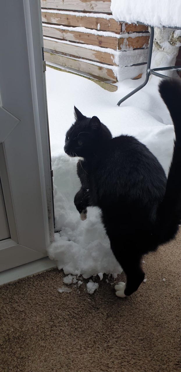 Fwd: Ooo Its cold			
					</div><!-- .entry-content -->
		
		<footer>
		
		
		
					
					</footer><!-- .entry-meta -->
	</article><!-- #post -->
				
											
				
		
<hr class=