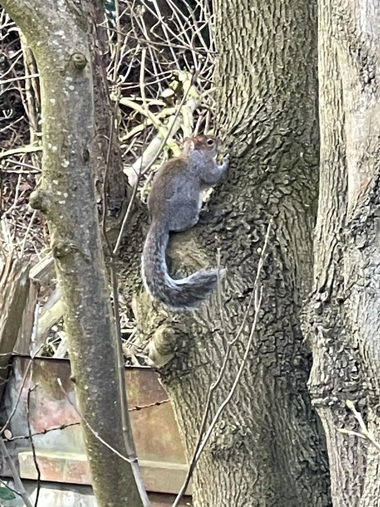 Fwd: Grant Beighton			
					</div><!-- .entry-content -->
		
		<footer>
		
		
		
					
					</footer><!-- .entry-meta -->
	</article><!-- #post -->
				
											
				
		
<hr class=