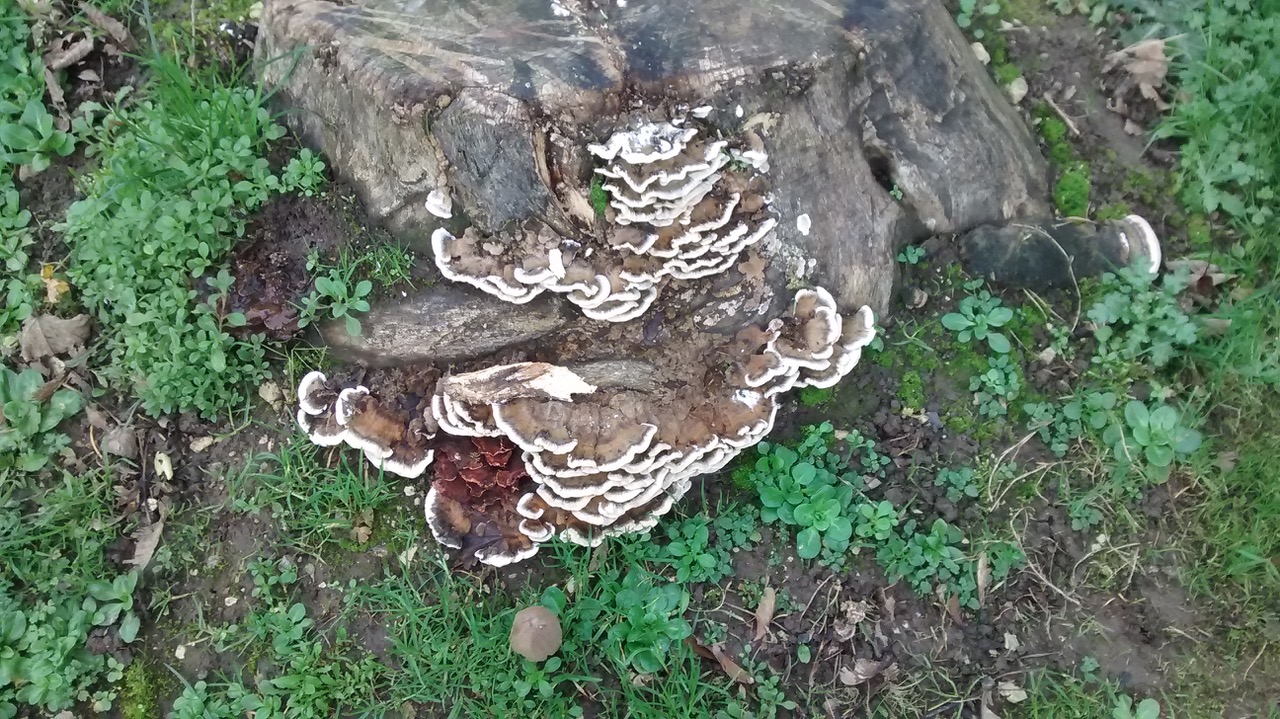 Fwd: Photo by Jon Eaton, Wingerworth			
					</div><!-- .entry-content -->
		
		<footer>
		
		
		
					
					</footer><!-- .entry-meta -->
	</article><!-- #post -->
				
											
				
		
<hr class=