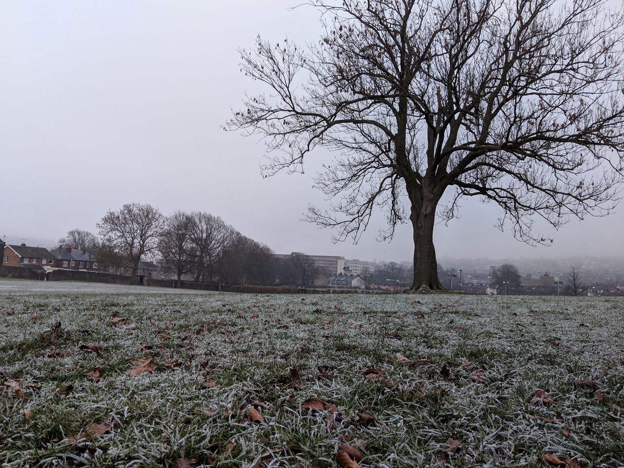 Fwd: Hillsborough Park, Isaac Walker			
					</div><!-- .entry-content -->
		
		<footer>
		
		
		
					
					</footer><!-- .entry-meta -->
	</article><!-- #post -->
				
											
				
		
<hr class=