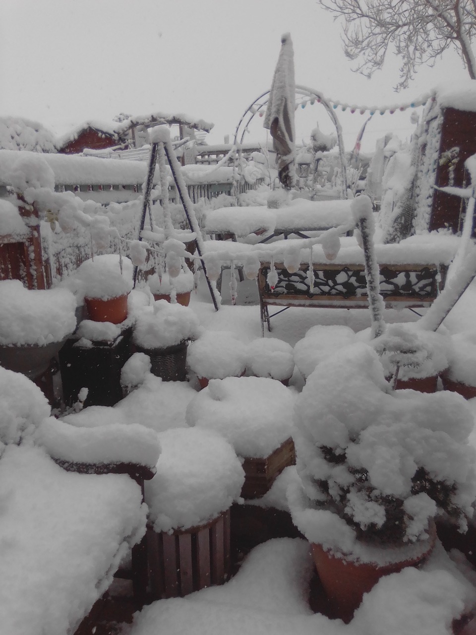 Fwd: Thurcroft snow. C. M. Turner.			
					</div><!-- .entry-content -->
		
		<footer>
		
		
		
					
					</footer><!-- .entry-meta -->
	</article><!-- #post -->
				
											
				
		
<hr class=