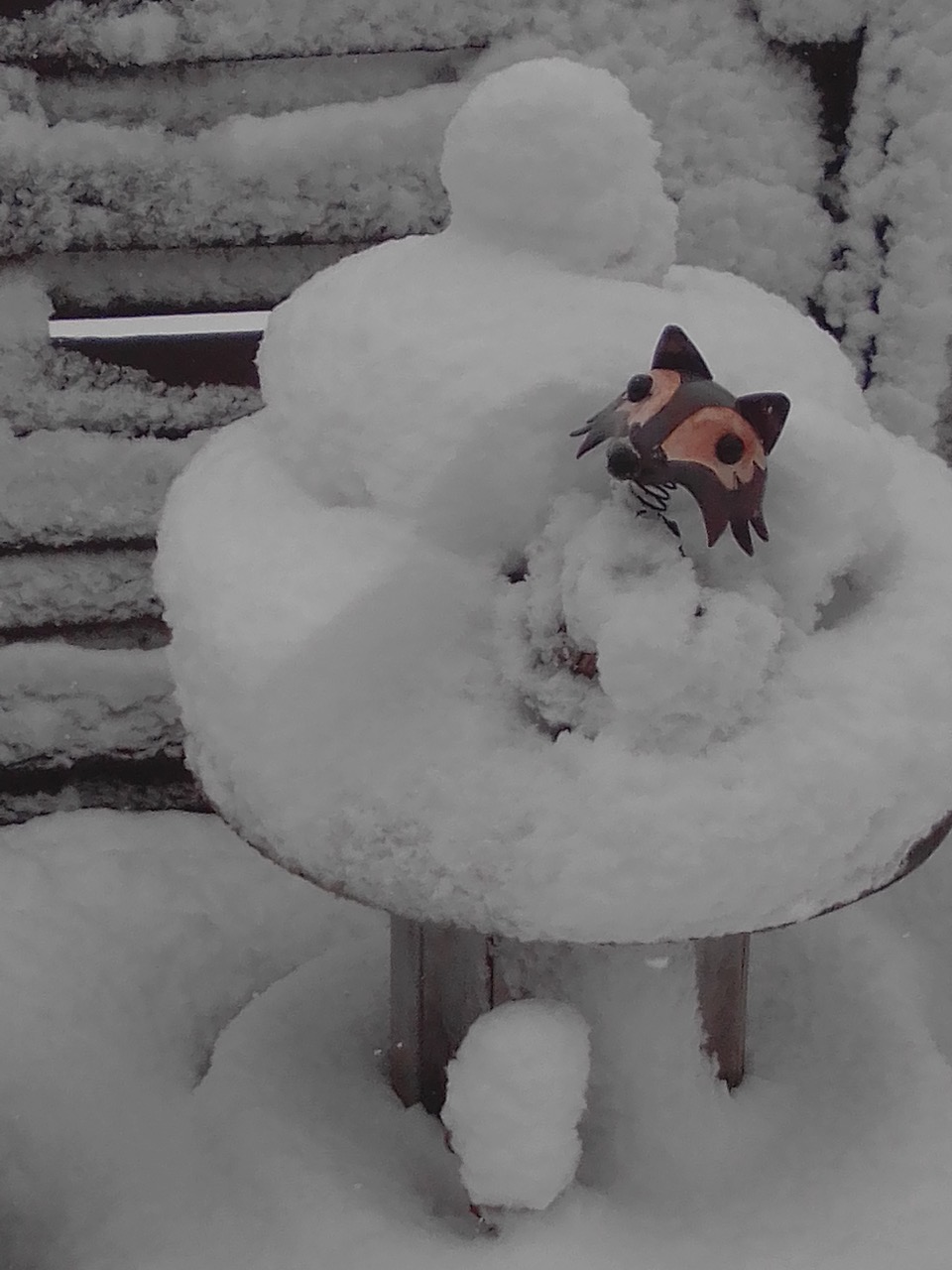 Fwd: Arctic Fox? C. M. Turner. Thurcroft.			
					</div><!-- .entry-content -->
		
		<footer>
		
		
		
					
					</footer><!-- .entry-meta -->
	</article><!-- #post -->
				
											
				
		
<hr class=