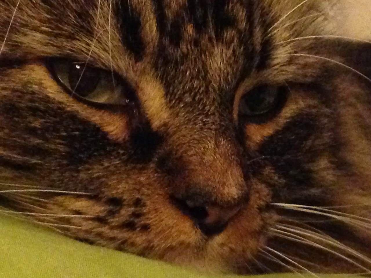 Fwd: Jerry 2008-2023			
					</div><!-- .entry-content -->
		
		<footer>
		
		
		
					
					</footer><!-- .entry-meta -->
	</article><!-- #post -->
				
											
				
		
<hr class=