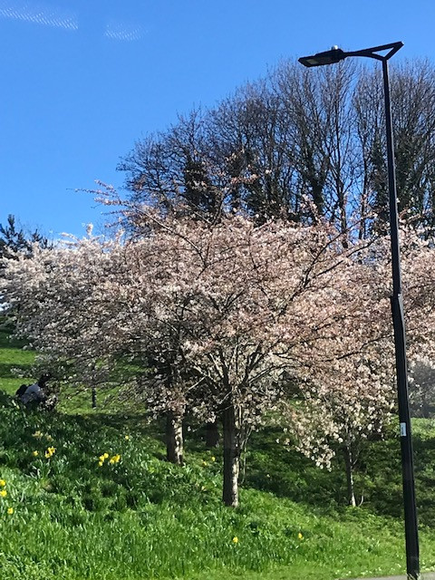 Fwd:			
					</div><!-- .entry-content -->
		
		<footer>
		
		
		
					
					</footer><!-- .entry-meta -->
	</article><!-- #post -->
				
											
				
		
<hr class=