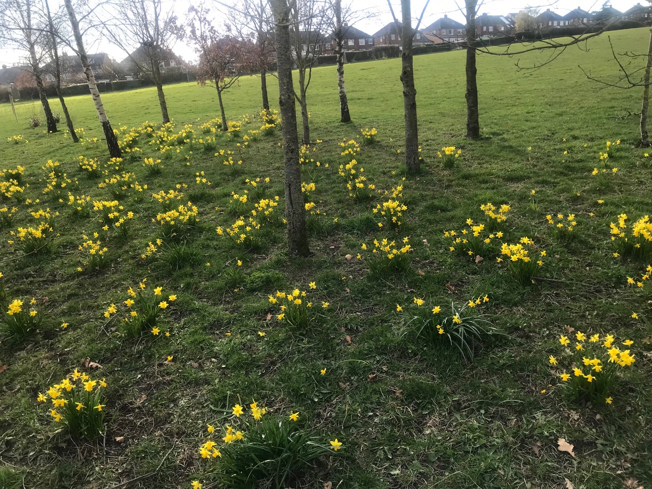 Fwd: Charnock Park			
					</div><!-- .entry-content -->
		
		<footer>
		
		
		
					
					</footer><!-- .entry-meta -->
	</article><!-- #post -->
				
											
				
		
<hr class=