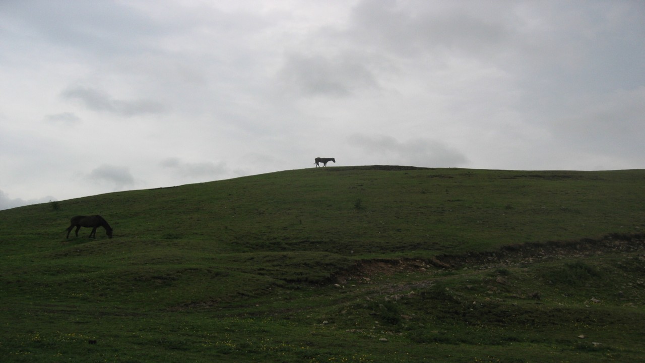 Fwd: David Maycock, Rininglow			
					</div><!-- .entry-content -->
		
		<footer>
		
		
		
					
					</footer><!-- .entry-meta -->
	</article><!-- #post -->
				
											
				
		
<hr class=