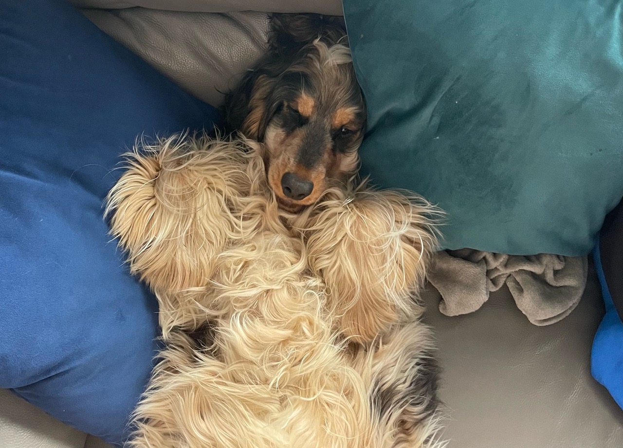 Fwd: Photo			
					</div><!-- .entry-content -->
		
		<footer>
		
		
		
					
					</footer><!-- .entry-meta -->
	</article><!-- #post -->
				
											
				
		
<hr class=