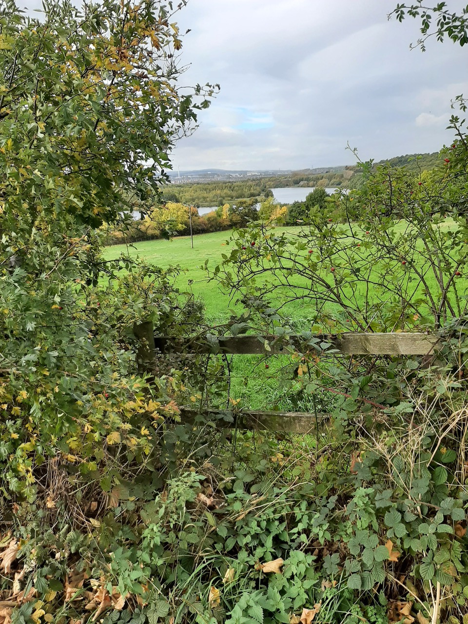 Fwd: No go			
					</div><!-- .entry-content -->
		
		<footer>
		
		
		
					
					</footer><!-- .entry-meta -->
	</article><!-- #post -->
				
											
				
		
<hr class=