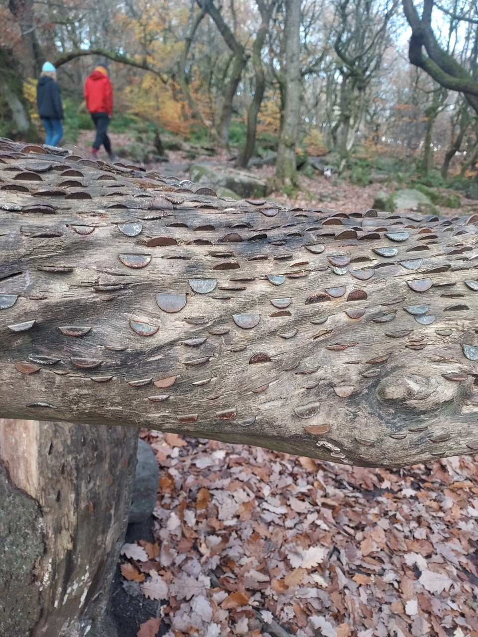 Fwd:			
					</div><!-- .entry-content -->
		
		<footer>
		
		
		
					
					</footer><!-- .entry-meta -->
	</article><!-- #post -->
				
											
				
		
<hr class=