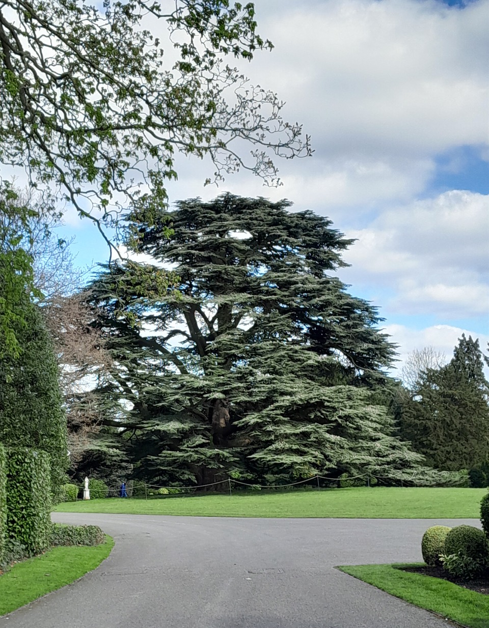 Fwd: [SPAM] Atlas Cedar			
					</div><!-- .entry-content -->
		
		<footer>
		
		
		
					
					</footer><!-- .entry-meta -->
	</article><!-- #post -->
				
											
				
		
<hr class=