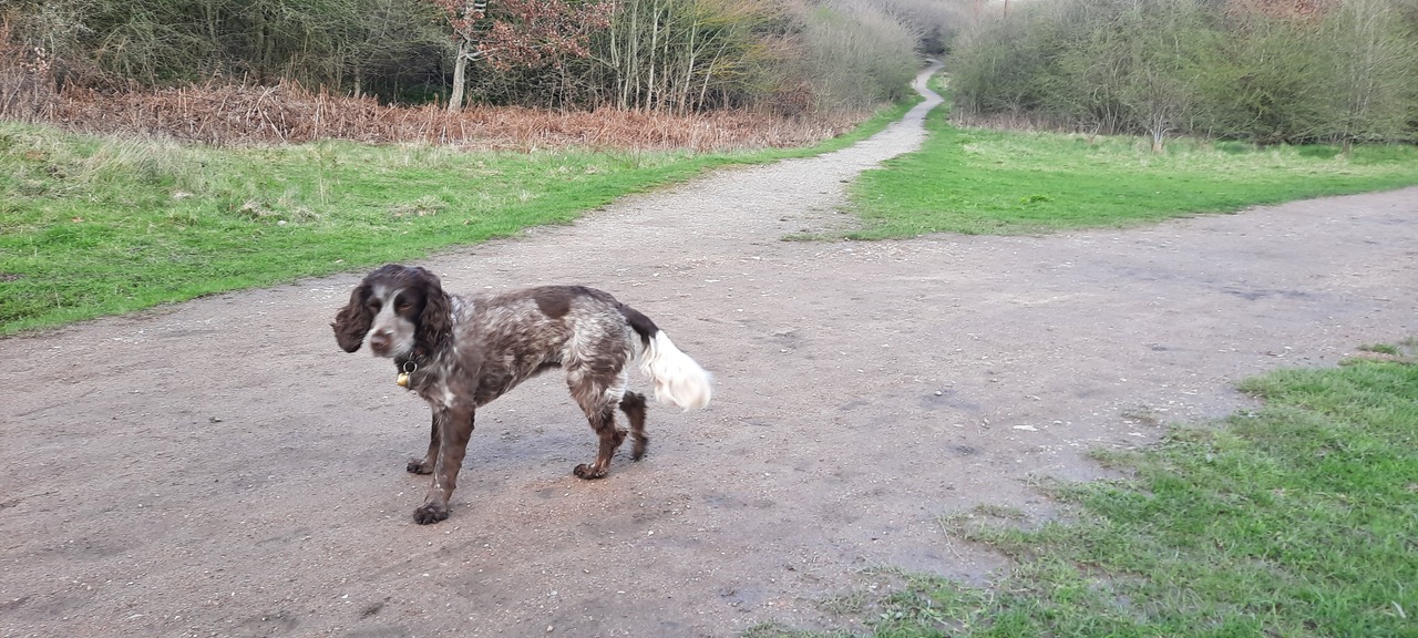 Fwd: Photo by G Williams tillie at Shirebrook valley			
					</div><!-- .entry-content -->
		
		<footer>
		
		
		
					
					</footer><!-- .entry-meta -->
	</article><!-- #post -->
				
											
				
		
<hr class=