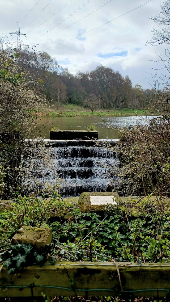 Fwd: By M.Winter- Hooton Brook			
					</div><!-- .entry-content -->
		
		<footer>
		
		
		
					
					</footer><!-- .entry-meta -->
	</article><!-- #post -->
				
											
				
		
<hr class=