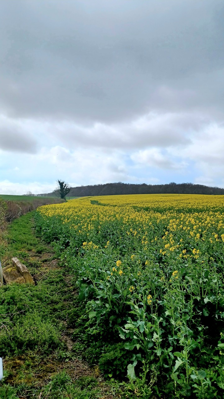 Fwd: By M.Winter- Ravenfield			
					</div><!-- .entry-content -->
		
		<footer>
		
		
		
					
					</footer><!-- .entry-meta -->
	</article><!-- #post -->
				
											
				
		
<hr class=