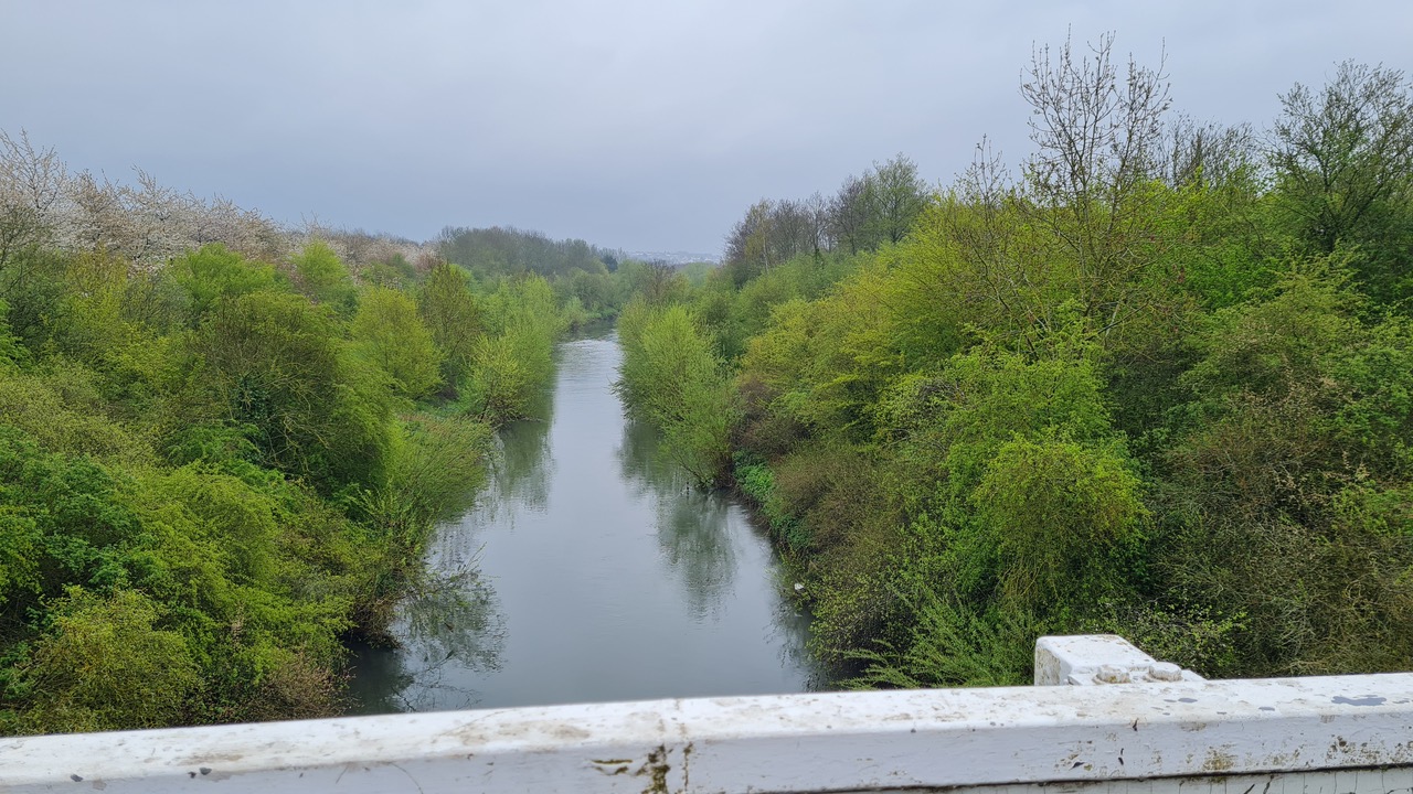 Fwd: Greg Howarth River Rother Killamarsh			
					</div><!-- .entry-content -->
		
		<footer>
		
		
		
					
					</footer><!-- .entry-meta -->
	</article><!-- #post -->
				
											
				
		
<hr class=