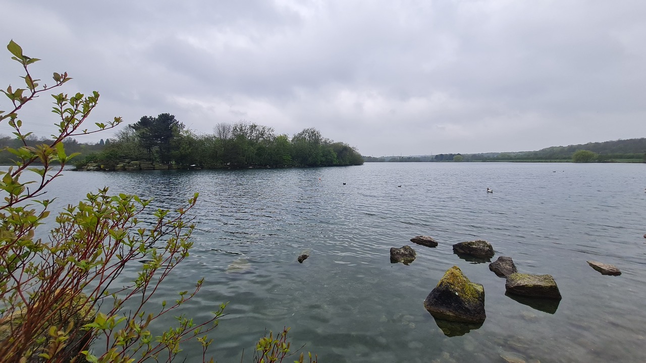 Fwd: Greg Howarth Rother Valley Main Lake			
					</div><!-- .entry-content -->
		
		<footer>
		
		
		
					
					</footer><!-- .entry-meta -->
	</article><!-- #post -->
				
											
				
		
<hr class=