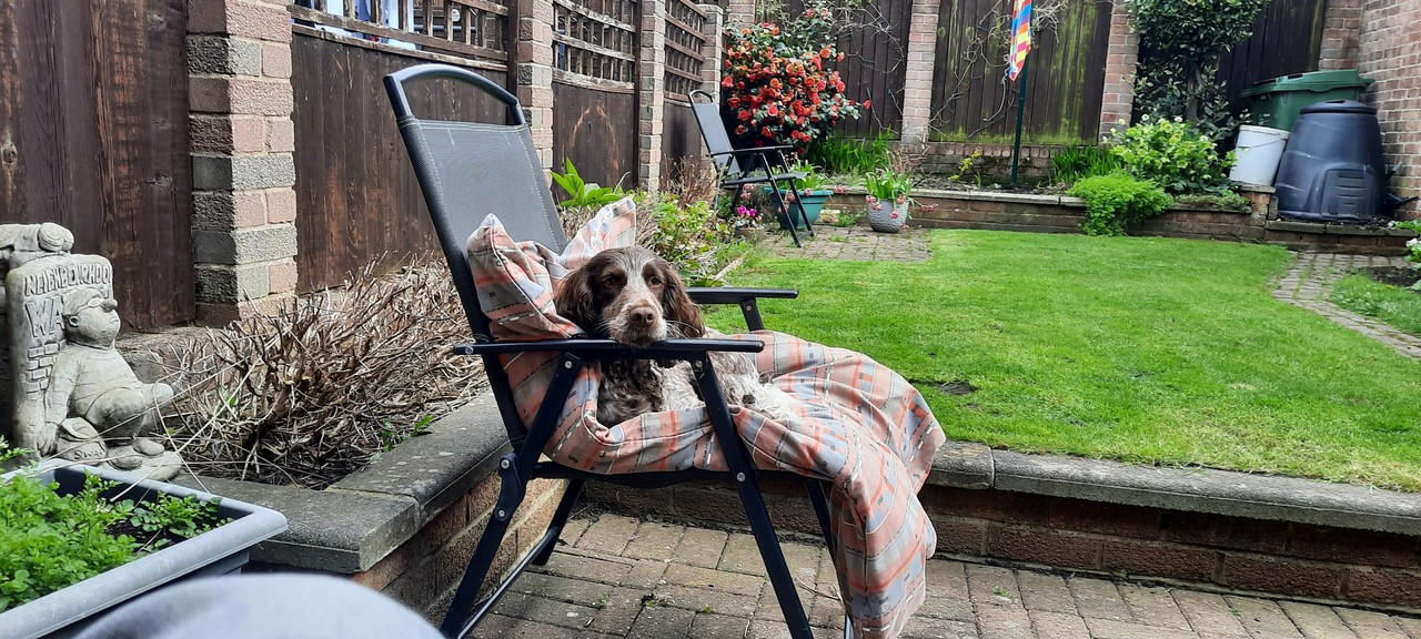 Fwd: Photo by G williams			
					</div><!-- .entry-content -->
		
		<footer>
		
		
		
					
					</footer><!-- .entry-meta -->
	</article><!-- #post -->
				
											
				
		
<hr class=