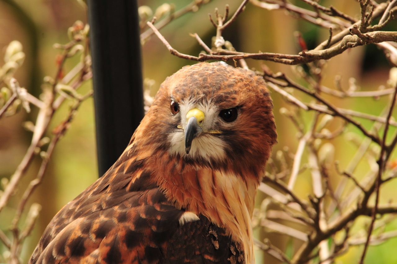 Fwd: Photos just for you			
					</div><!-- .entry-content -->
		
		<footer>
		
		
		
					
					</footer><!-- .entry-meta -->
	</article><!-- #post -->
				
											
				
		
<hr class=