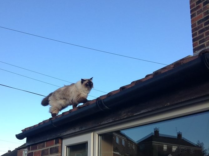 Fwd: photos			
					</div><!-- .entry-content -->
		
		<footer>
		
		
		
					
					</footer><!-- .entry-meta -->
	</article><!-- #post -->
				
											
				
		
<hr class=