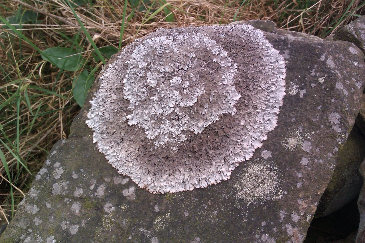 Fwd: Photo by Jon Eaton, Wingerworth			
					</div><!-- .entry-content -->
		
		<footer>
		
		
		
					
					</footer><!-- .entry-meta -->
	</article><!-- #post -->
				
											
				
		
<hr class=