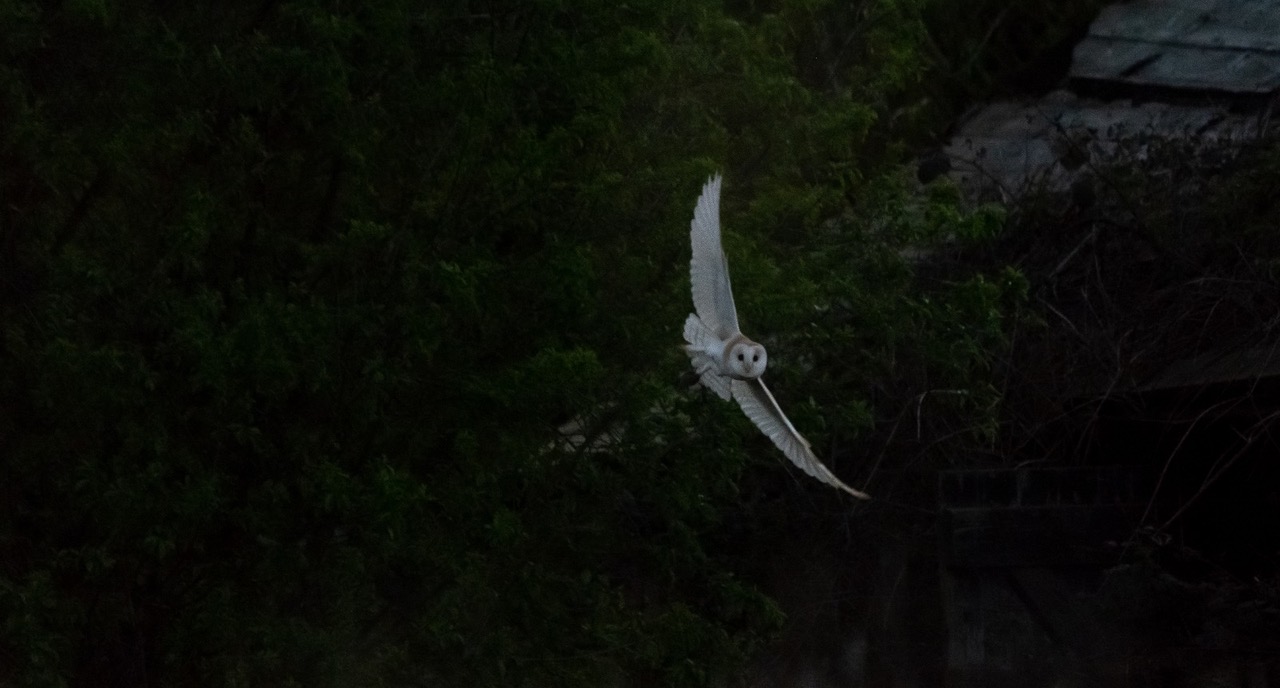 Fwd: Photo by jules clumber			
					</div><!-- .entry-content -->
		
		<footer>
		
		
		
					
					</footer><!-- .entry-meta -->
	</article><!-- #post -->
				
											
				
		
<hr class=